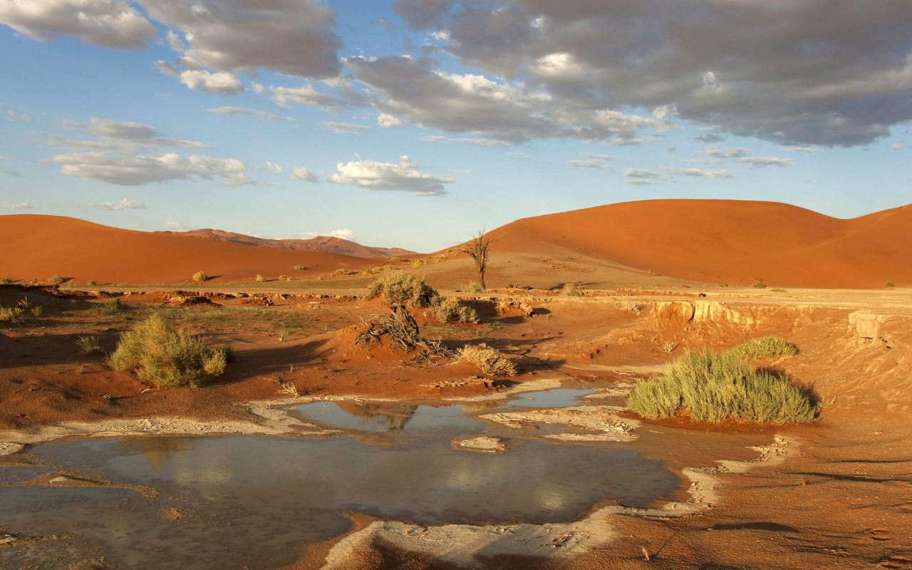 Vida no deserto :: Comunicar
